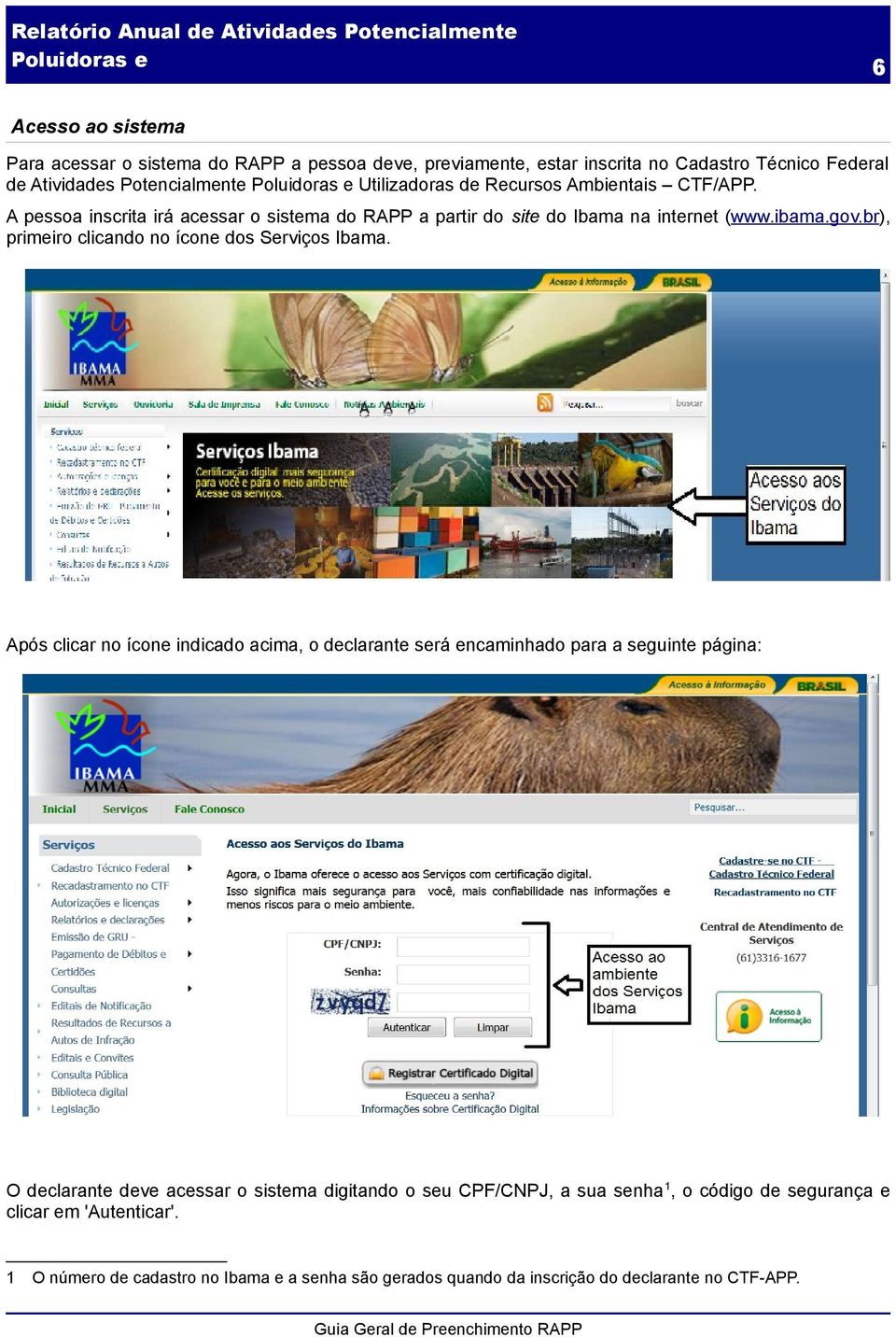 br), primeiro clicando no ícone dos Serviços Ibama.