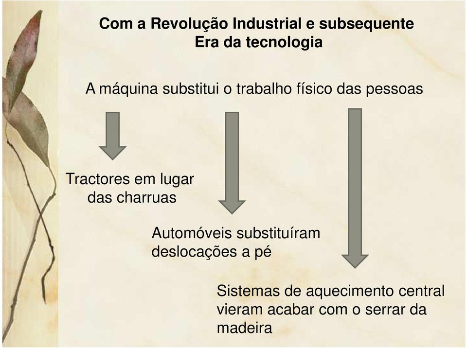 lugar das charruas Automóveis substituíram deslocações a pé