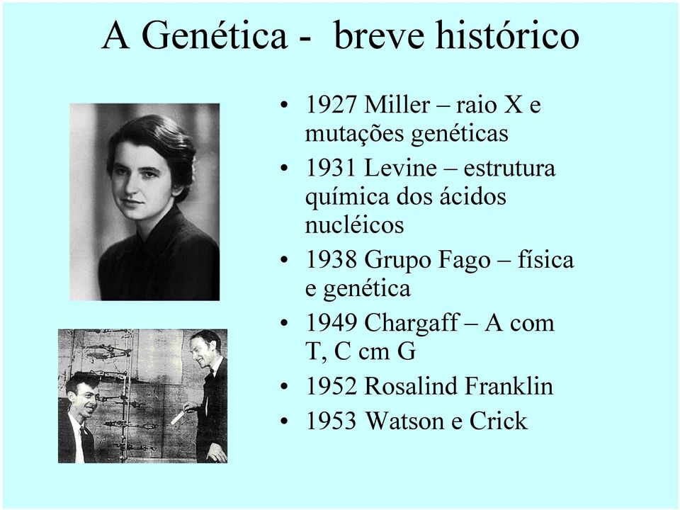 ácidos nucléicos 1938 Grupo Fago física e genética 1949