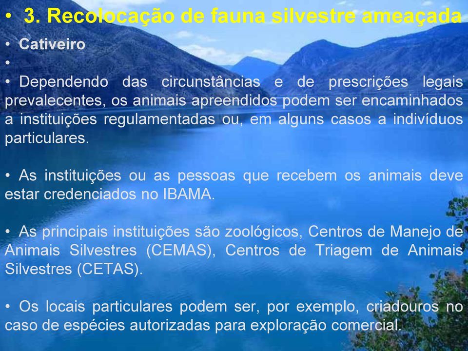 As instituições ou as pessoas que recebem os animais deve estar credenciados no IBAMA.