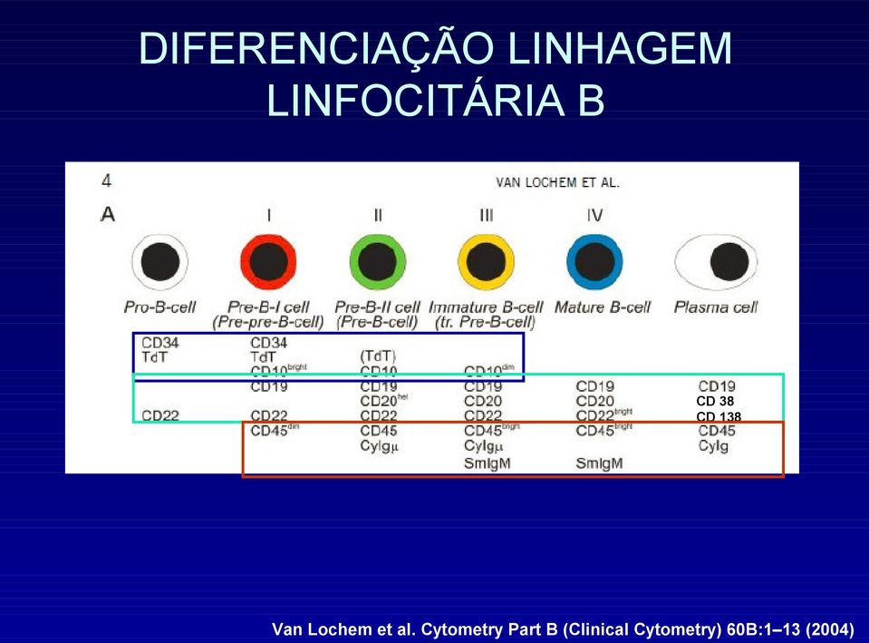 Van Lochem et al.