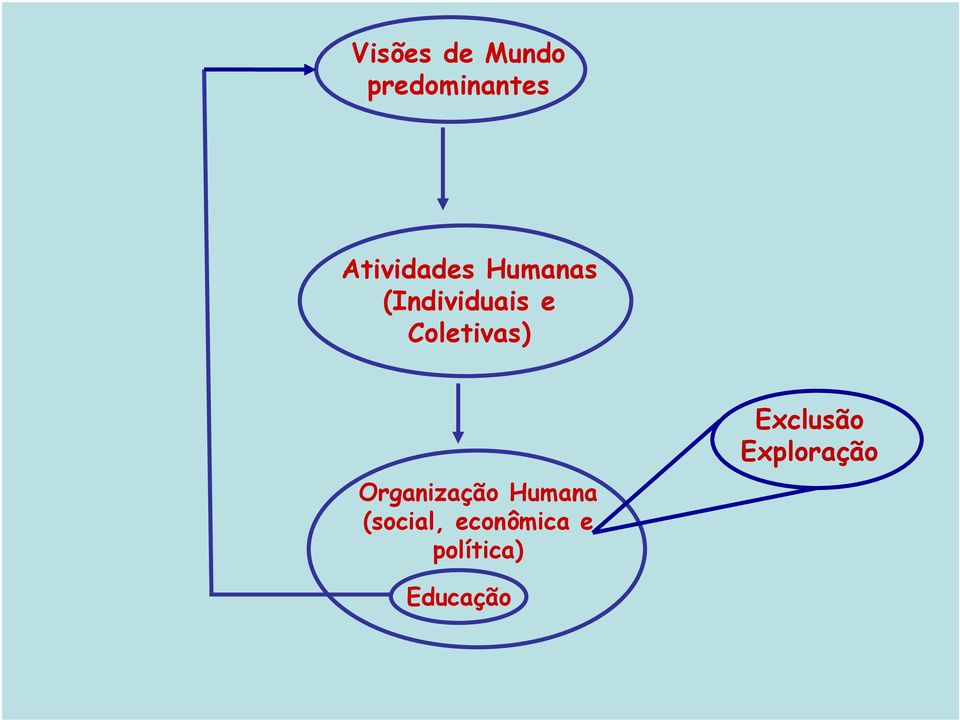 Coletivas) Organização Humana (social,