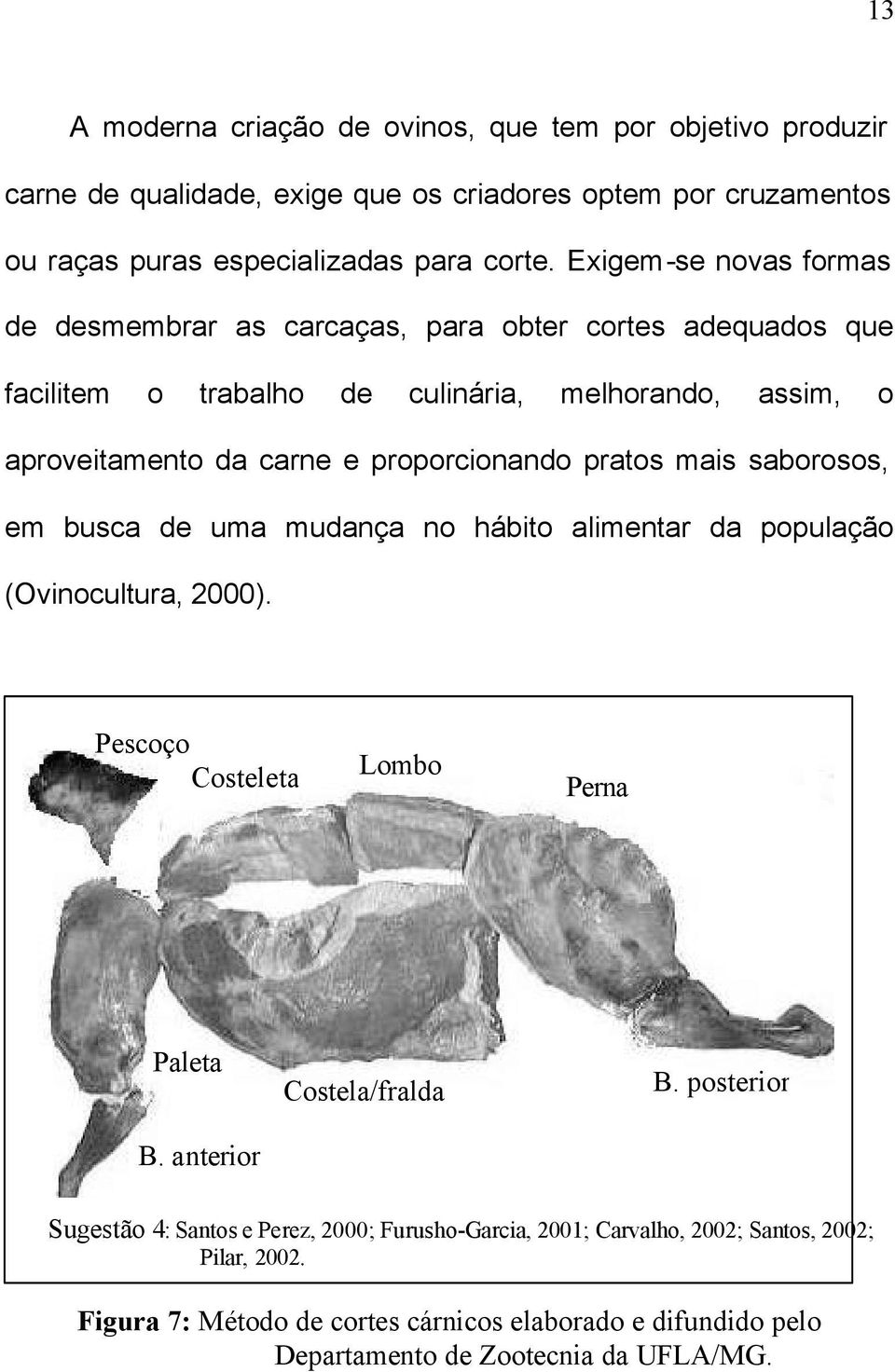 pratos mais saborosos, em busca de uma mudança no hábito alimentar da população (Ovinocultura, 2000). Pescoço Costeleta Lombo Perna Paleta B. anterior Costela/fralda B.