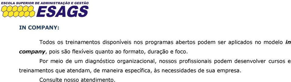 Por meio de um diagnóstico organizacional, nossos profissionais podem desenvolver cursos e