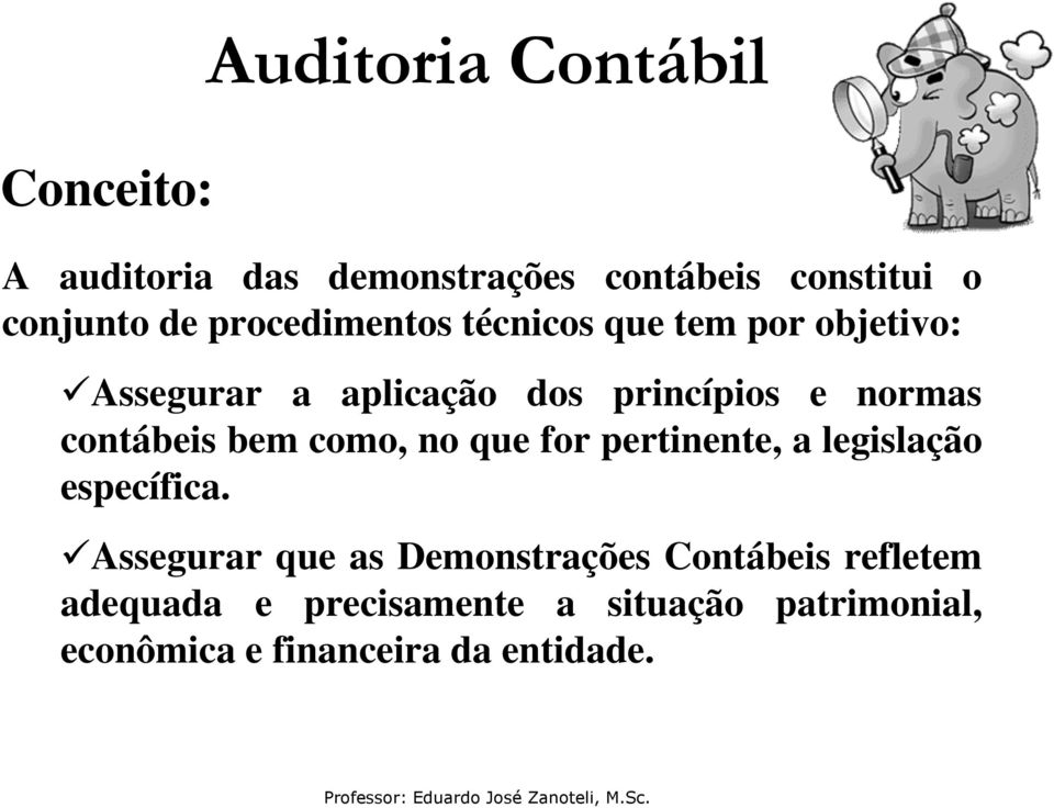 contábeis bem como, no que for pertinente, a legislação específica.