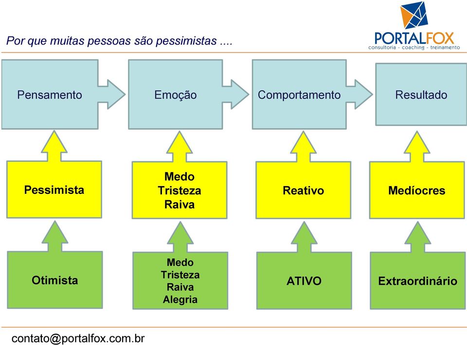 Pessimista Medo Tristeza Raiva Reativo