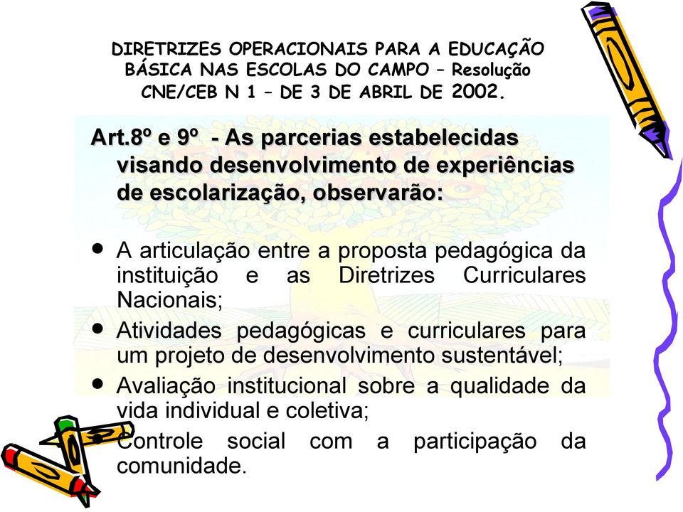 observarão: A articulação entre a proposta pedagógica da instituição e as Diretrizes Curriculares