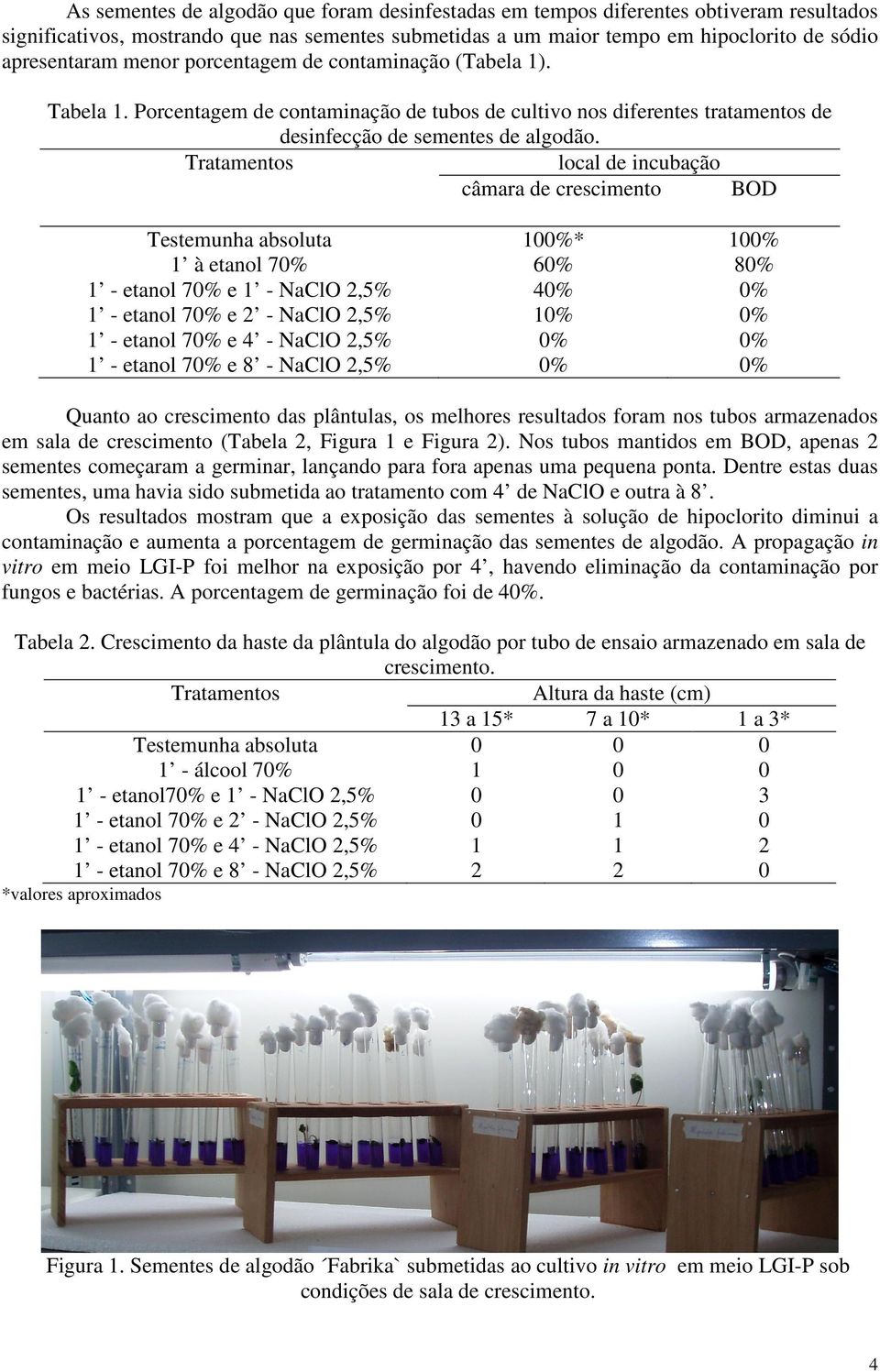 Tratamentos local de incubação câmara de crescimento BOD Testemunha absoluta 100%* 100% 1 à etanol 70% 60% 80% 1 - etanol 70% e 1 - NaClO 2,5% 40% 0% 1 - etanol 70% e 2 - NaClO 2,5% 10% 0% 1 - etanol