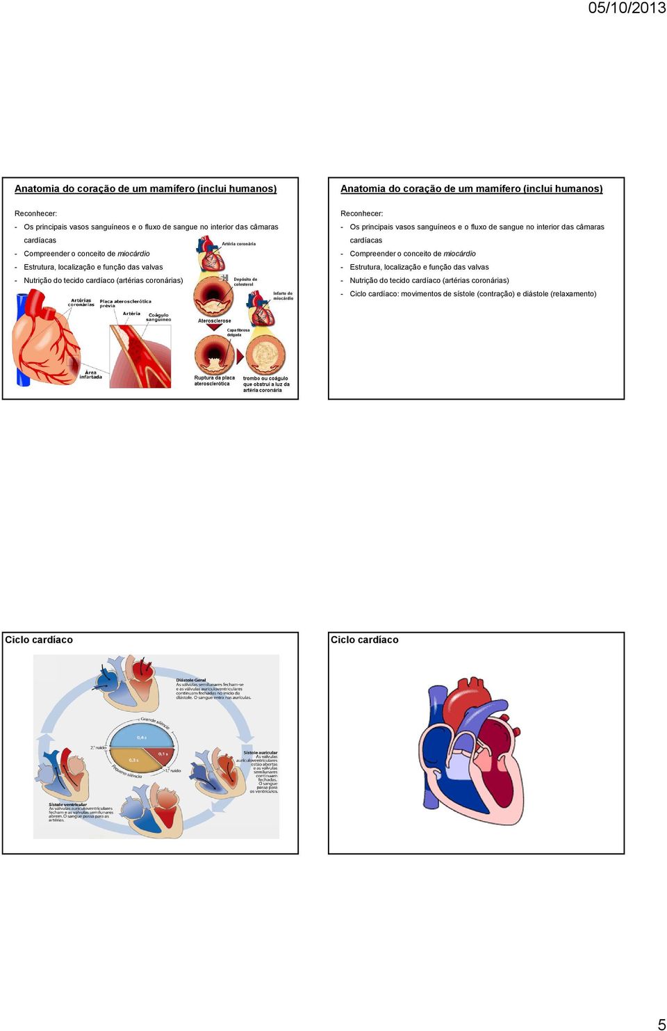 Nutrição do tecido cardíaco (artérias coronárias) - Ciclo cardíaco: movimentos de sístole (contração) e diástole (relaxamento) Ciclo cardíaco