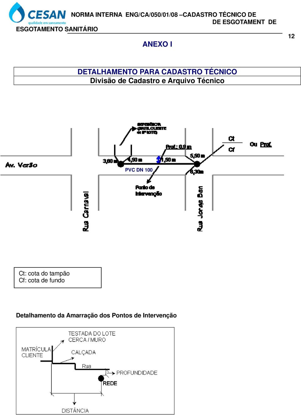 Cadastro e Arquivo Técnico PVC DN 100 Ct: cota do tampão Cf: