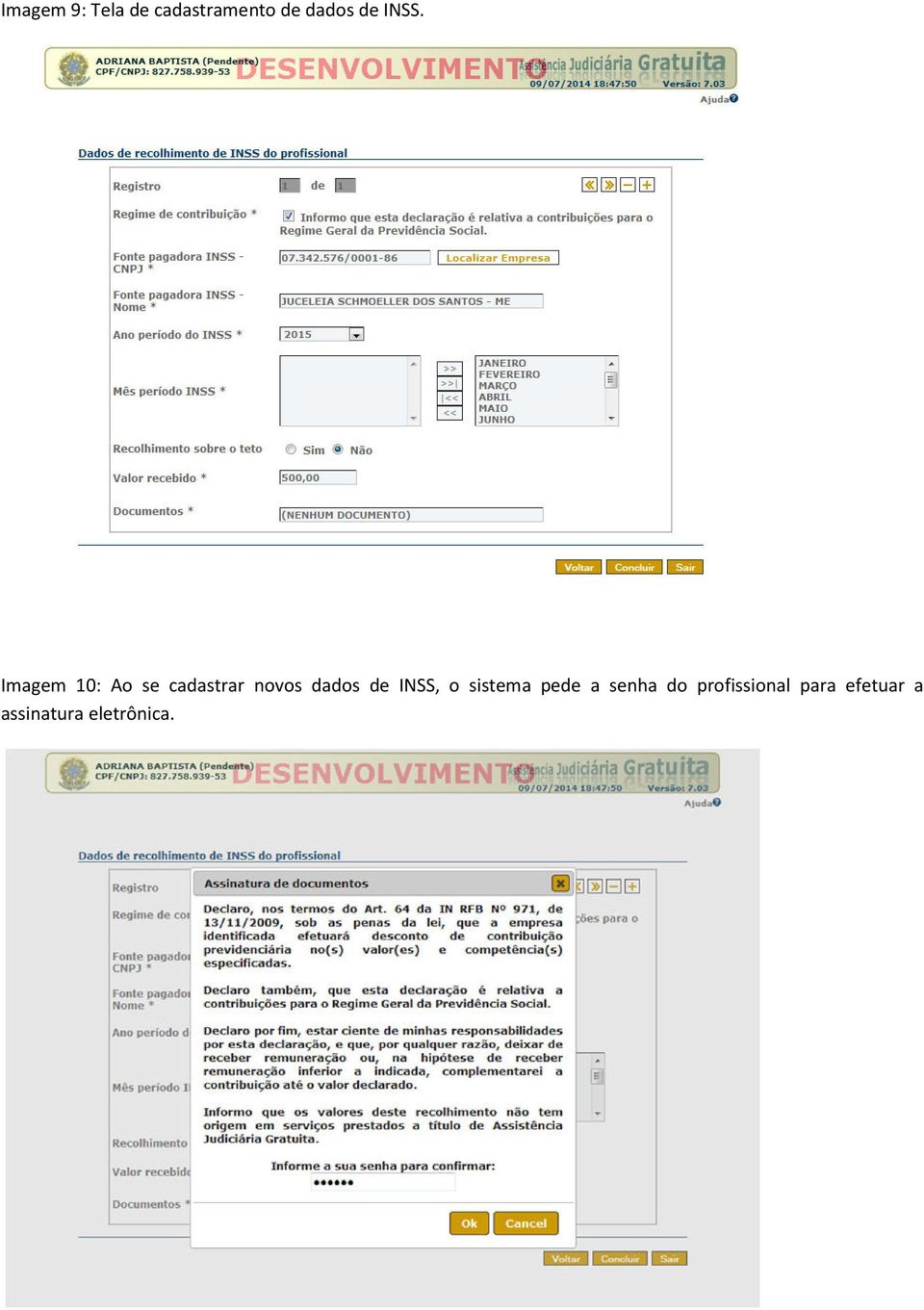 dados de INSS, o sistema pede a senha do