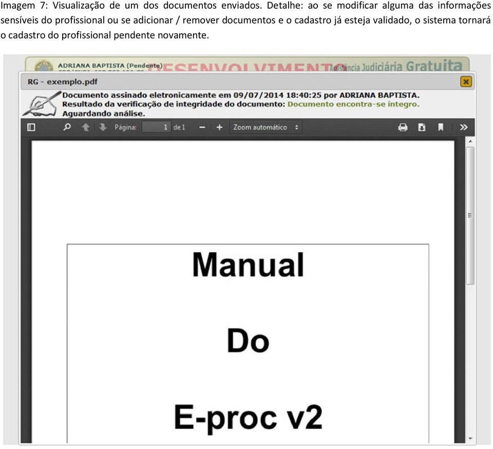 profissional ou se adicionar / remover documentos e o cadastro já