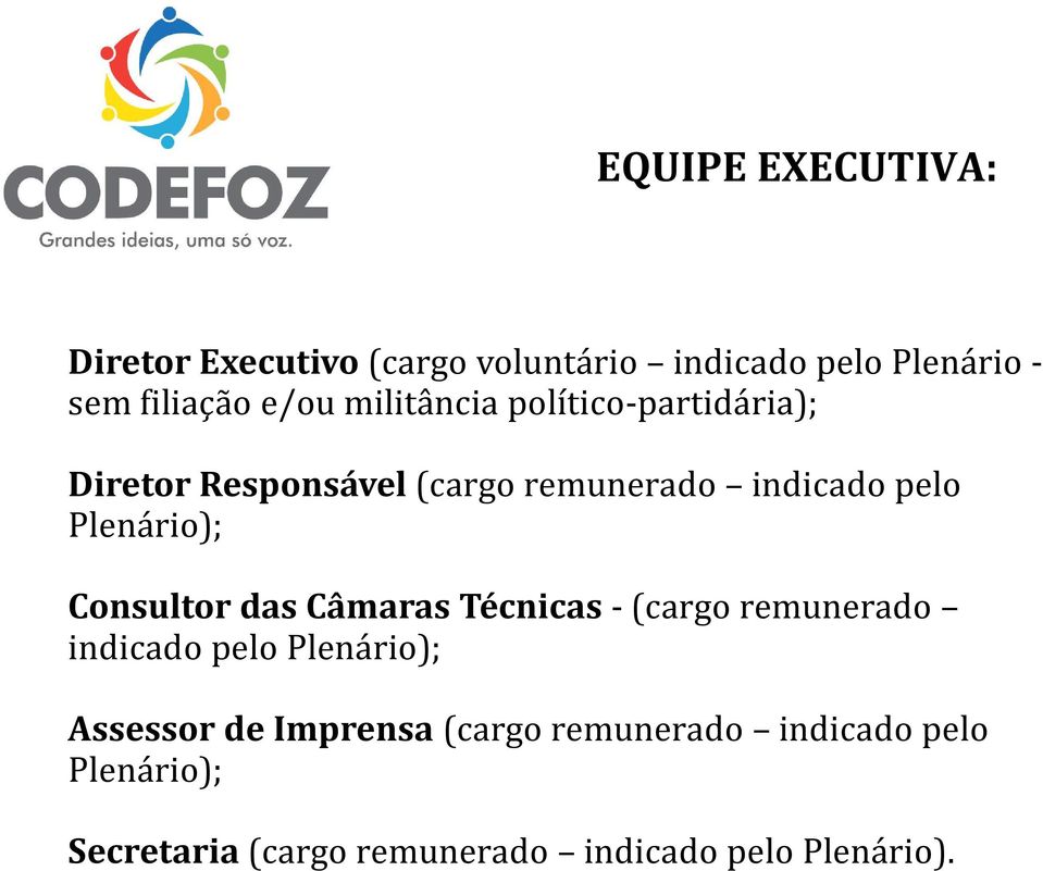 Plenário); Consultor das Câmaras Técnicas-(cargo remunerado indicado pelo Plenário); Assessor