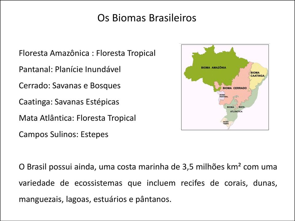 Campos Sulinos: Estepes O Brasil possui ainda, uma costa marinha de 3,5 milhões km² com uma