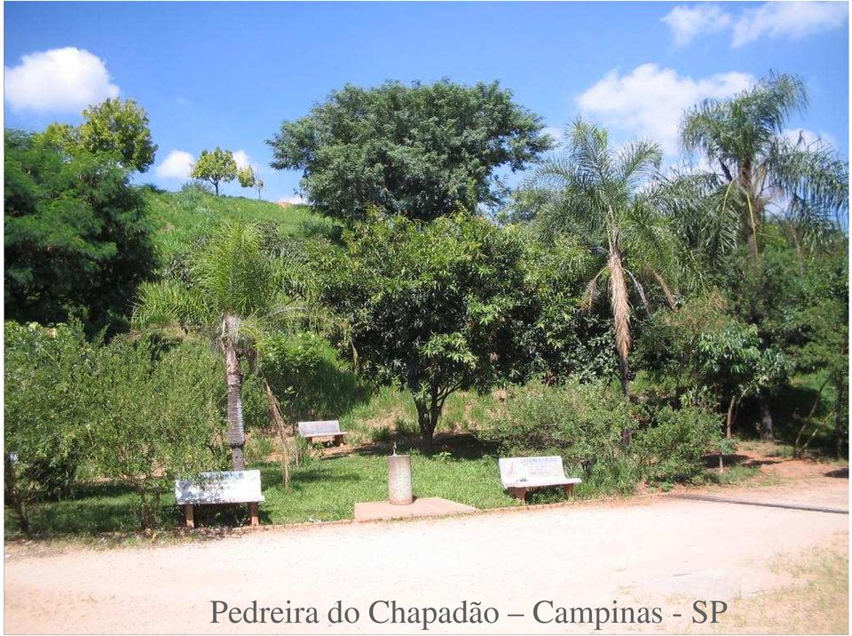 Chapadão