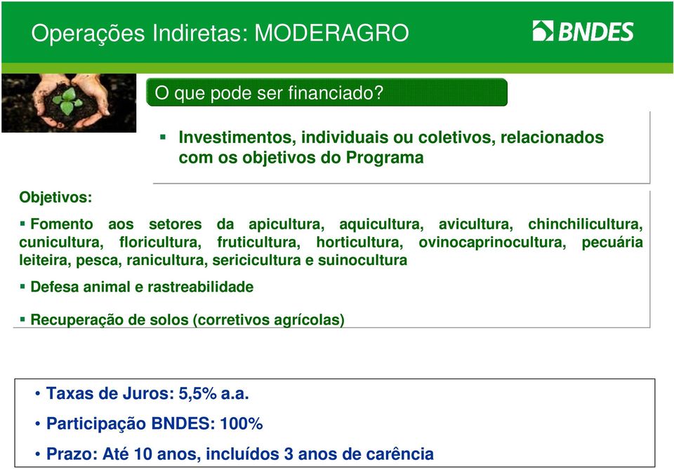 animal e rastreabilidade O que pode ser financiado?