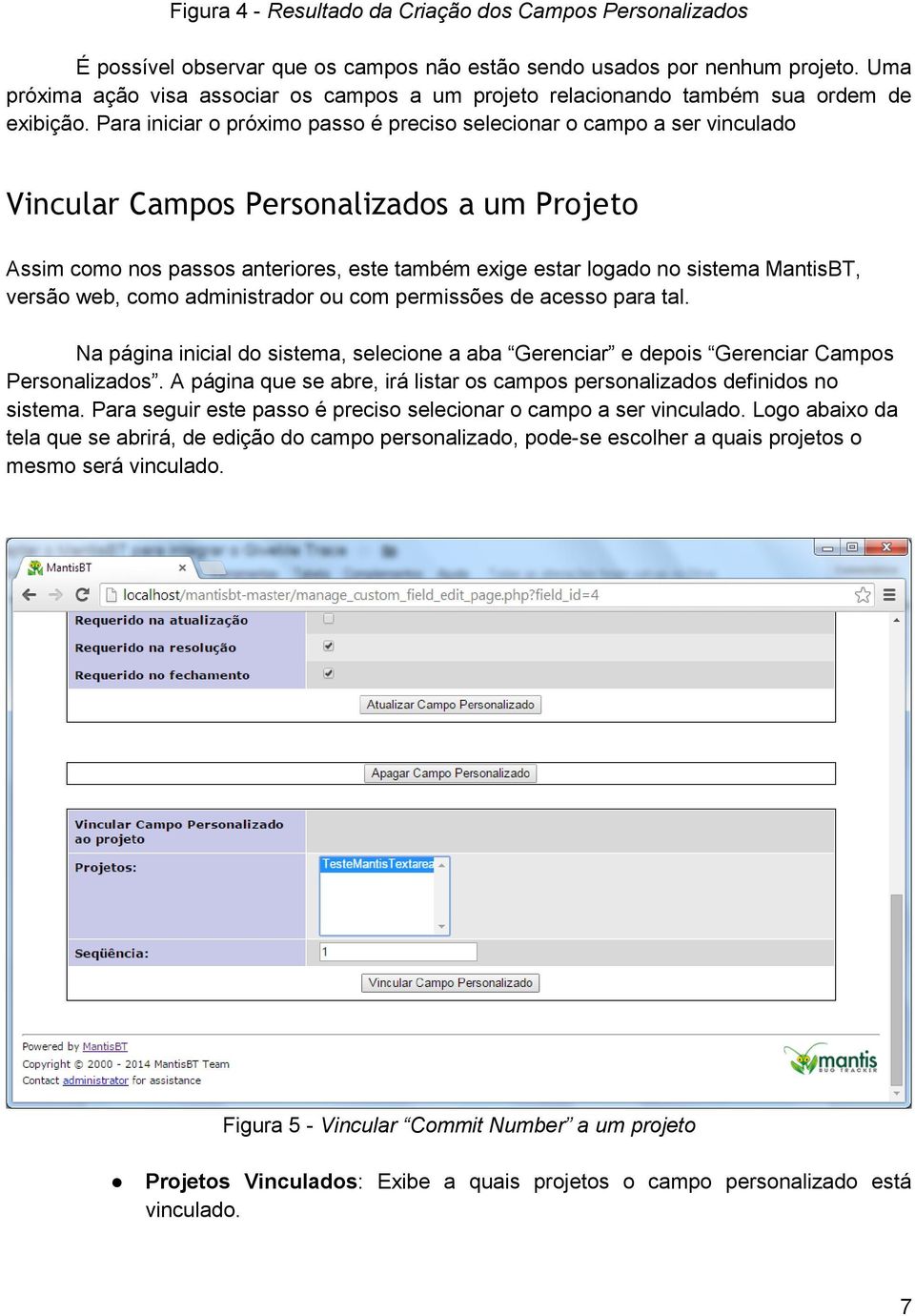 Para iniciar o próximo passo é preciso selecionar o campo a ser vinculado Vincular Campos Personalizados a um Projeto Assim como nos passos anteriores, este também exige estar logado no sistema