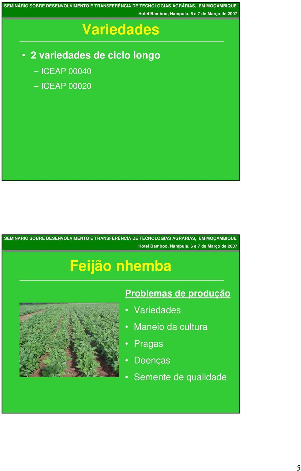 TCNOLOGIAS TCNOLOGIAS M M 200 200 Fijão nhmba Problmas produção Varidas Manio da cultura