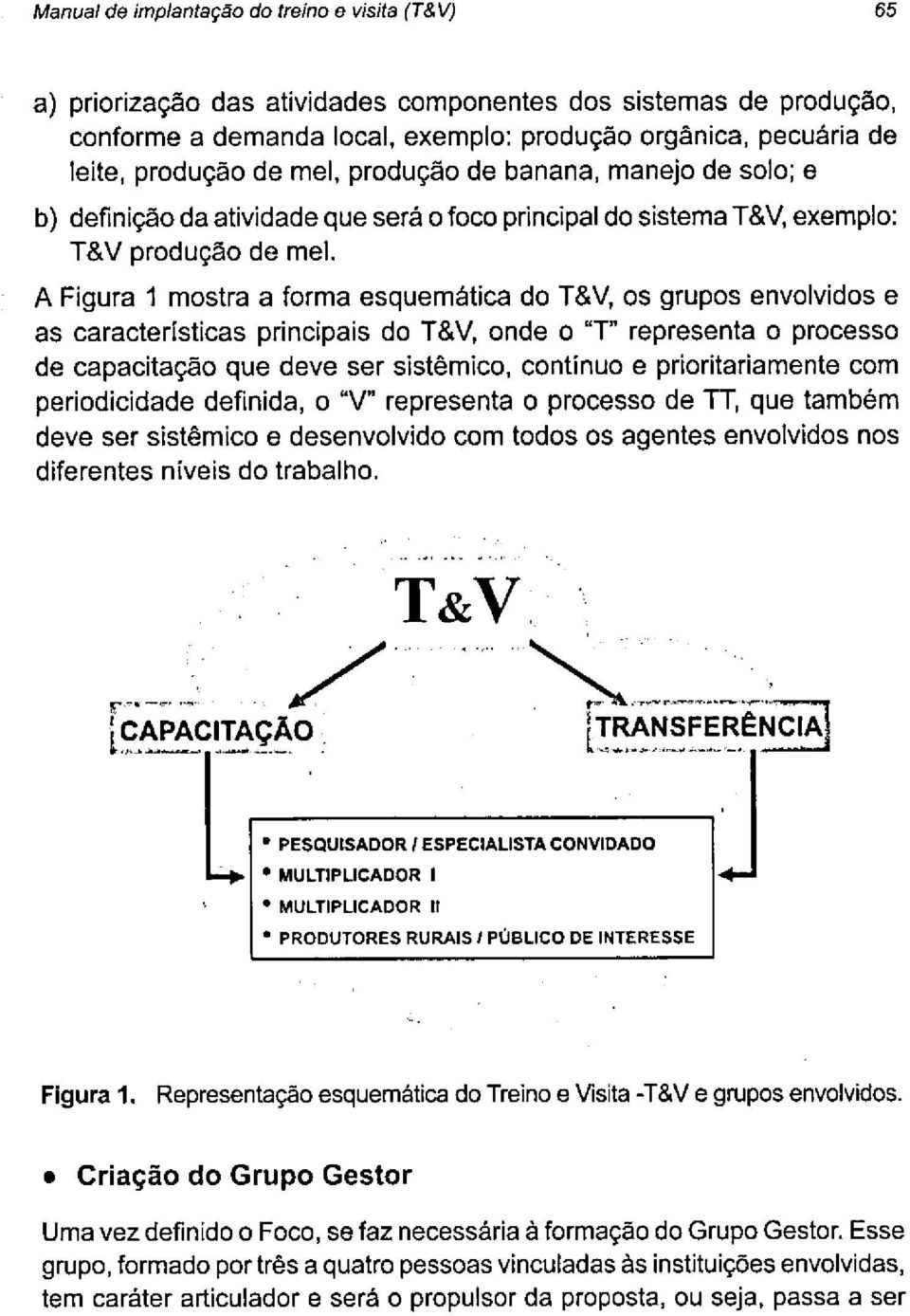 A Figura 1 mostra a forma esquemática do T&V, os grupos envolvidos e as características principais do T&V, onde o "T" representa o processo de capacitação que deve ser sistêmico, continuo e