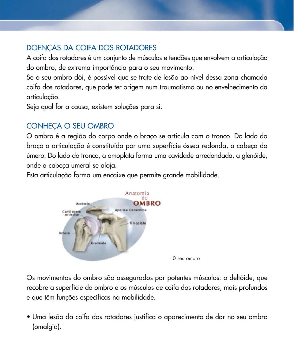 Seja qual for a causa, existem soluções para si. CONHEÇA O SEU OMBRO O ombro é a região do corpo onde o braço se articula com o tronco.