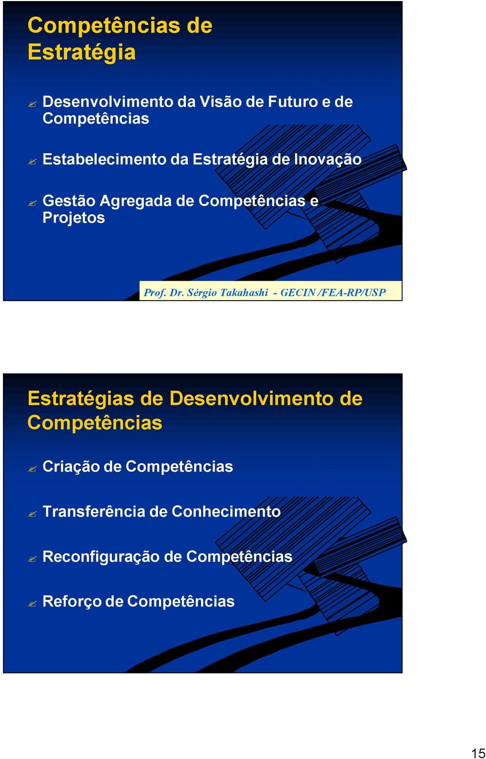 Sérgio Takahashi - GECIN /FEA-RP/USP Estratégias de Desenvolvimento