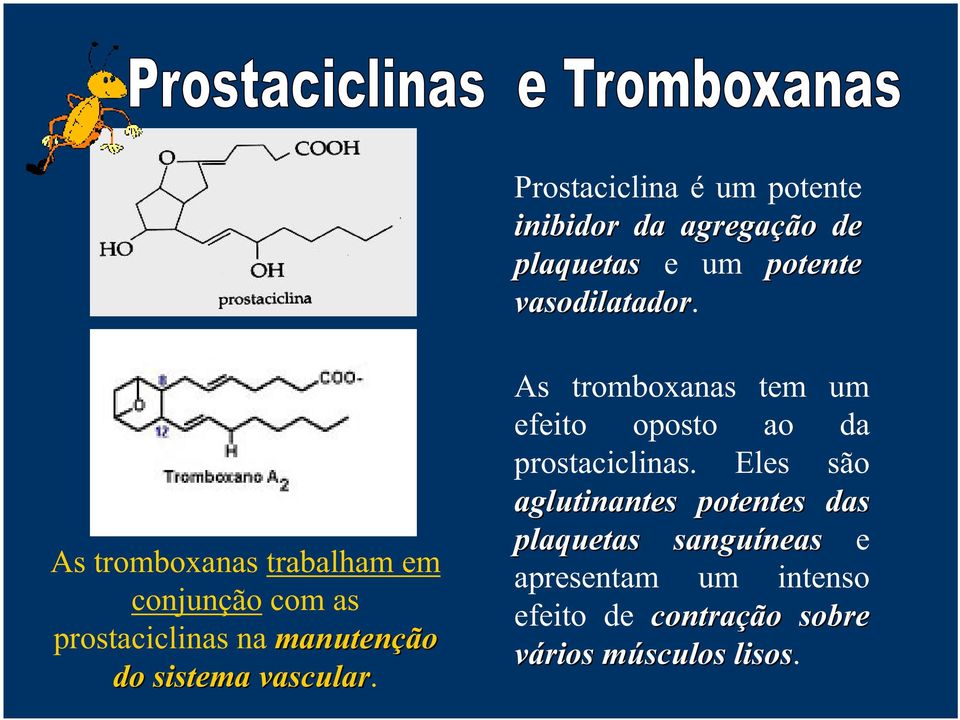 vascular. As tromboxanas tem um efeito oposto ao da prostaciclinas.