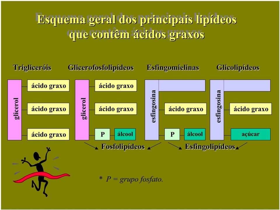 ácido graxo glicerol ácido graxo esfingosina ácido graxo esfingosina ácido graxo