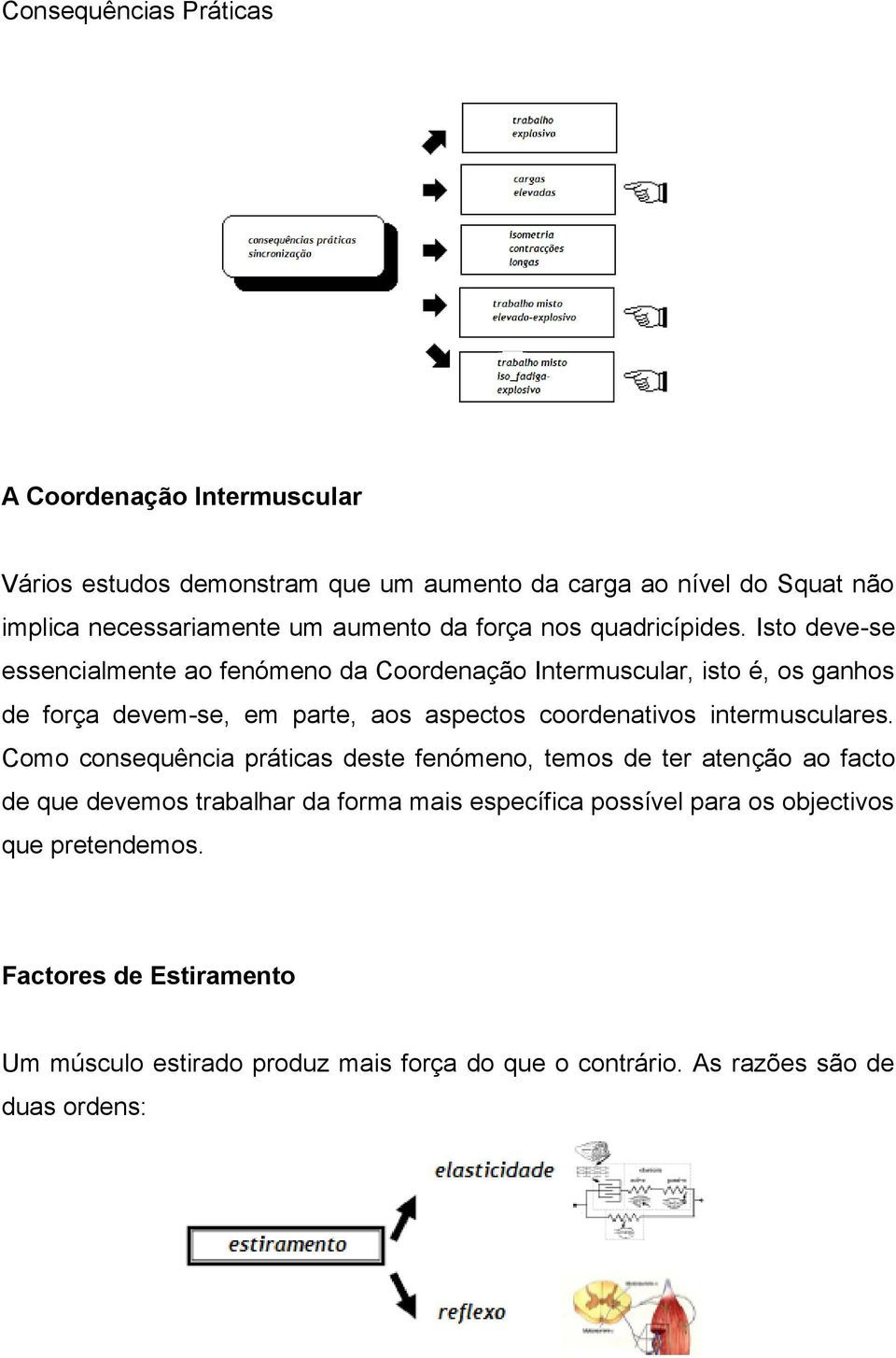 Isto deve-se essencialmente ao fenómeno da Coordenação Intermuscular, isto é, os ganhos de força devem-se, em parte, aos aspectos coordenativos