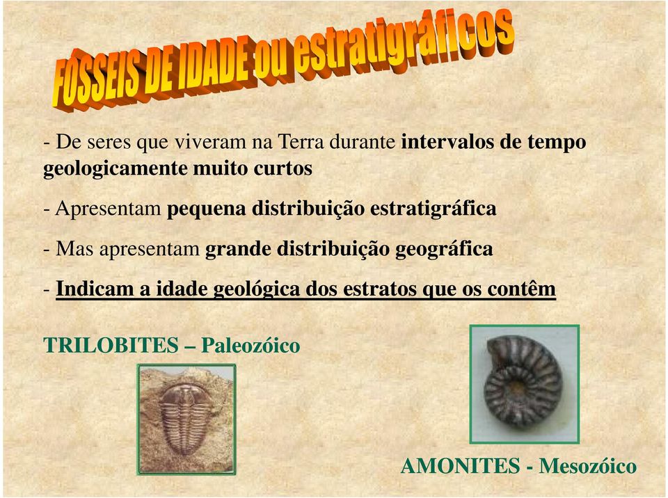 estratigráfica - Mas apresentam grande distribuição geográfica -