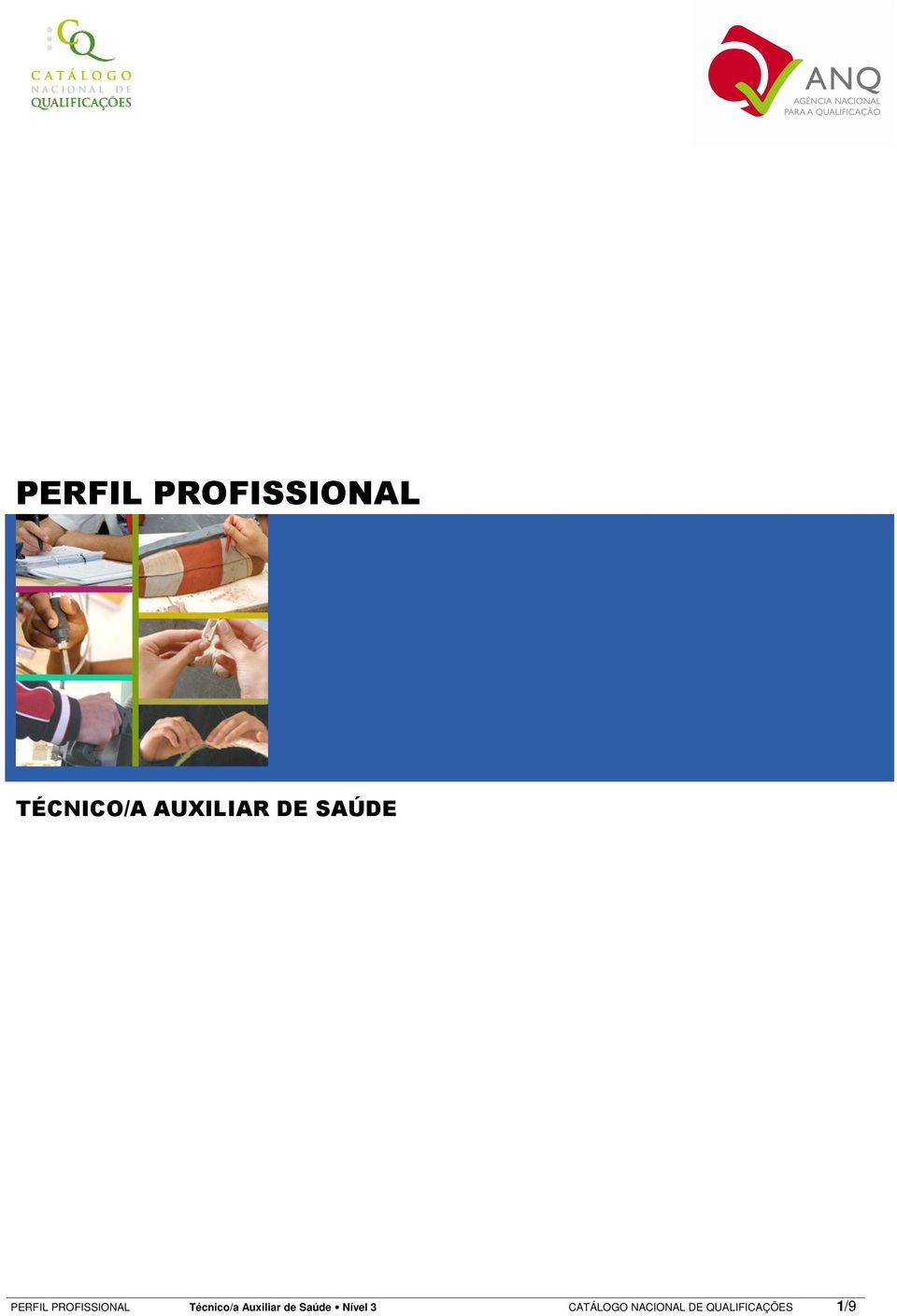 PROFISSIONAL Técnico/a Auxiliar de