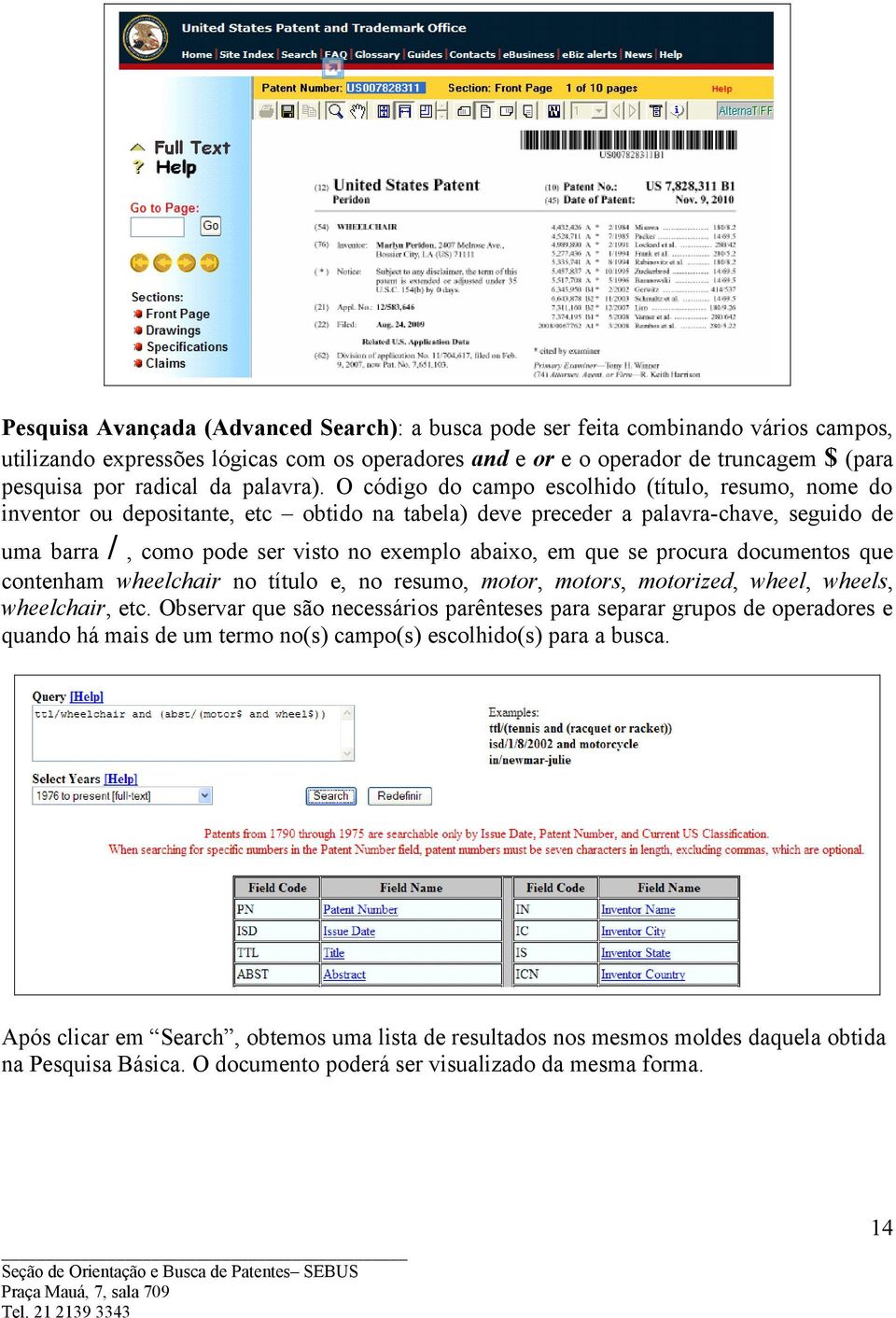 O código do campo escolhido (título, resumo, nome do inventor ou depositante, etc obtido na tabela) deve preceder a palavra-chave, seguido de uma barra /, como pode ser visto no exemplo abaixo, em