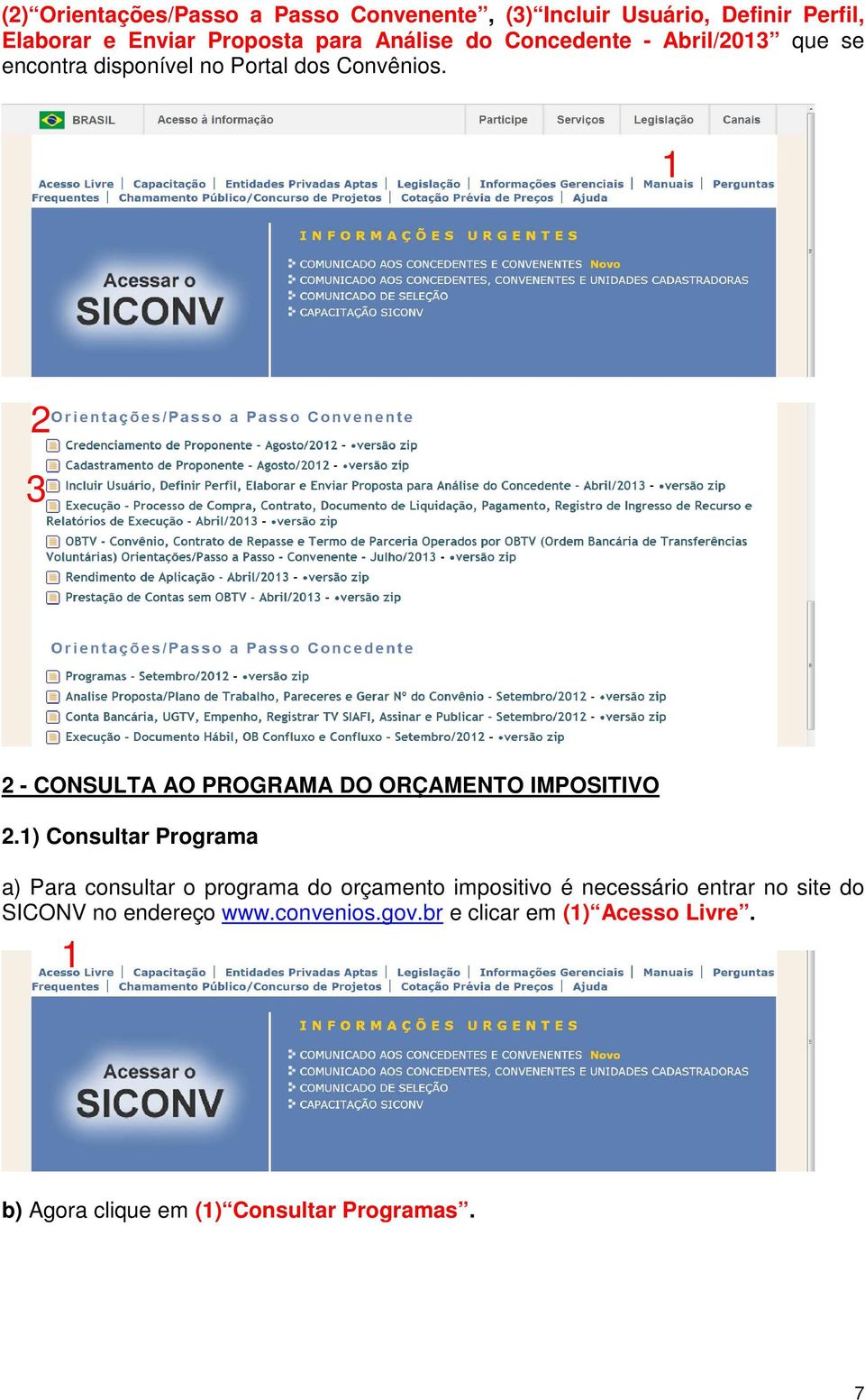 - CONSULTA AO PROGRAMA DO ORÇAMENTO IMPOSITIVO.