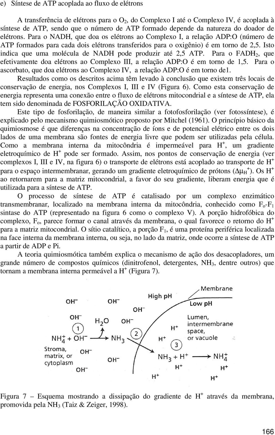 Isto indica que uma molécula de NADH pode produzir até 2,5 ATP. Para o FADH 2, que efetivamente doa elétrons ao Complexo III, a relação ADP:O é em torno de 1,5.