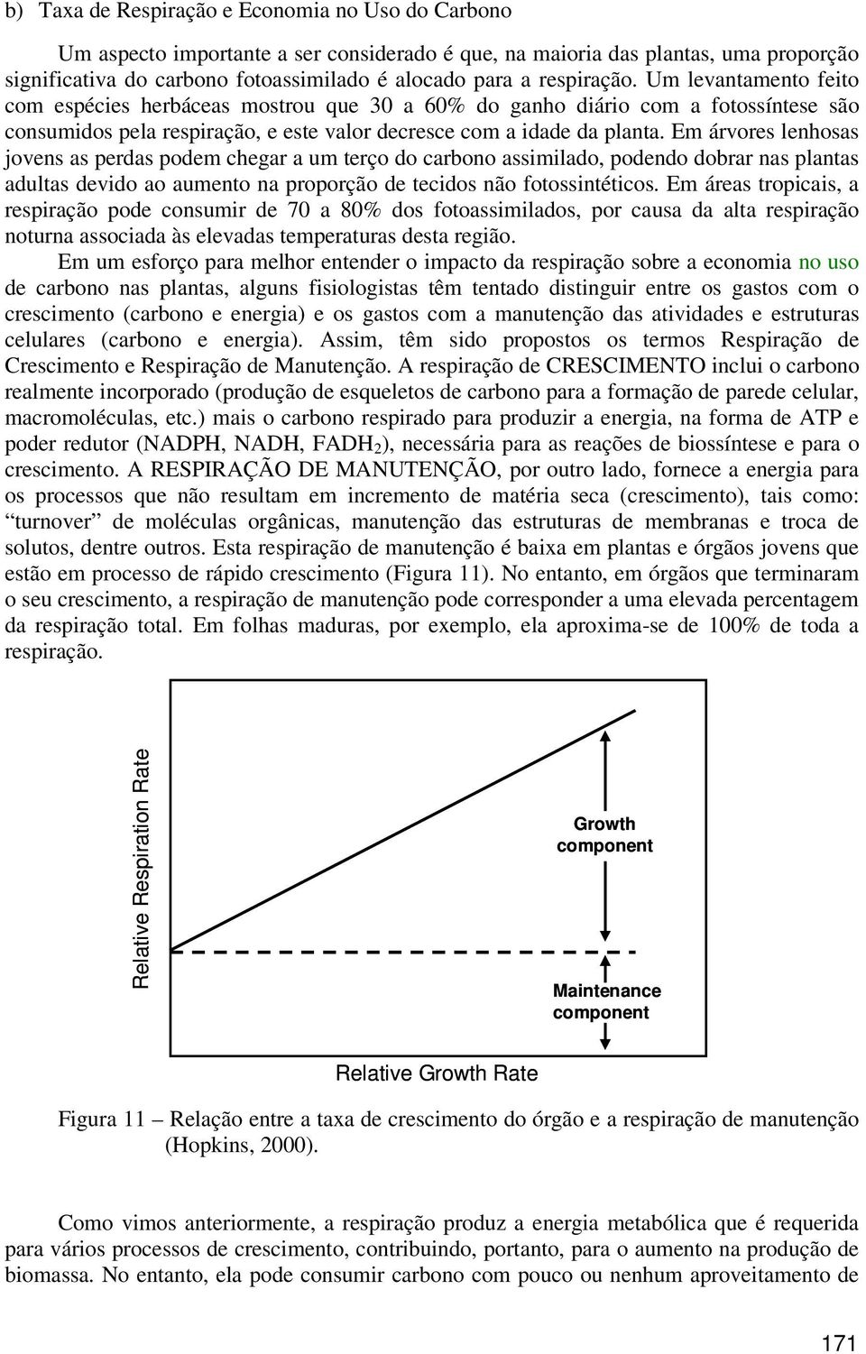 Em árvores lenhosas jovens as perdas podem chegar a um terço do carbono assimilado, podendo dobrar nas plantas adultas devido ao aumento na proporção de tecidos não fotossintéticos.