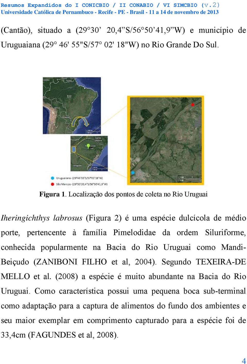 conhecida popularmente na Bacia do Rio Uruguai como Mandi- Beiçudo (ZANIBONI FILHO et al, 2004). Segundo TEXEIRA-DE MELLO et al.