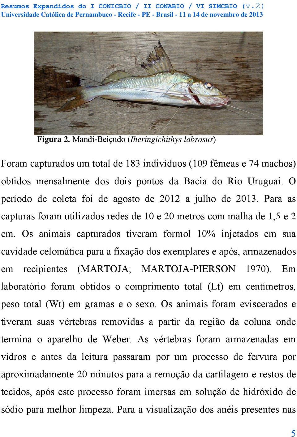 Os animais capturados tiveram formol 10% injetados em sua cavidade celomática para a fixação dos exemplares e após, armazenados em recipientes (MARTOJA; MARTOJA-PIERSON 1970).