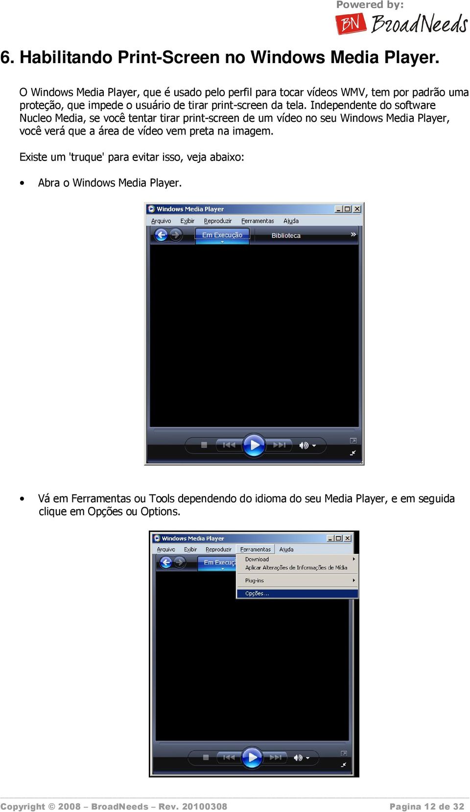 Independente do software Nucleo Media, se você tentar tirar print-screen de um vídeo no seu Windows Media Player, você verá que a área de vídeo vem preta
