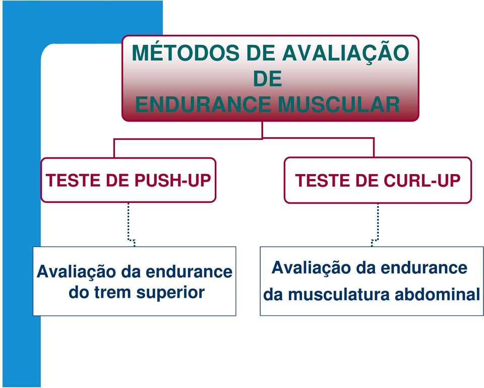 CURL-UP Avaliação da endurance do trem