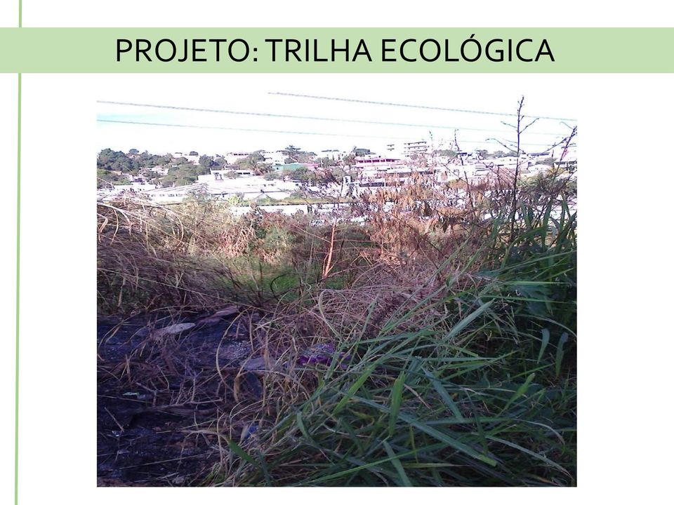 ECOLÓGICA