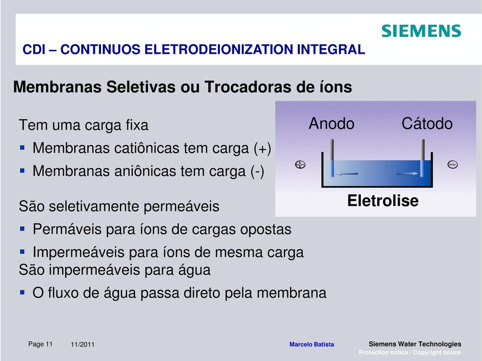 seletivamente permeáveis Permáveis para íons de cargas opostas Impermeáveis para íons de mesma carga