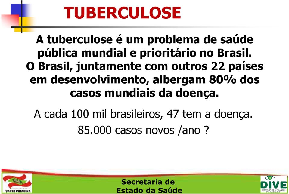 O Brasil, juntamente com outros 22 países em desenvolvimento,