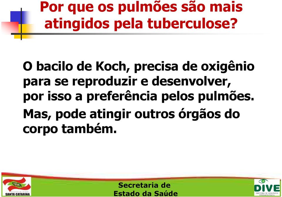 O bacilo de Koch, precisa de oxigênio para se