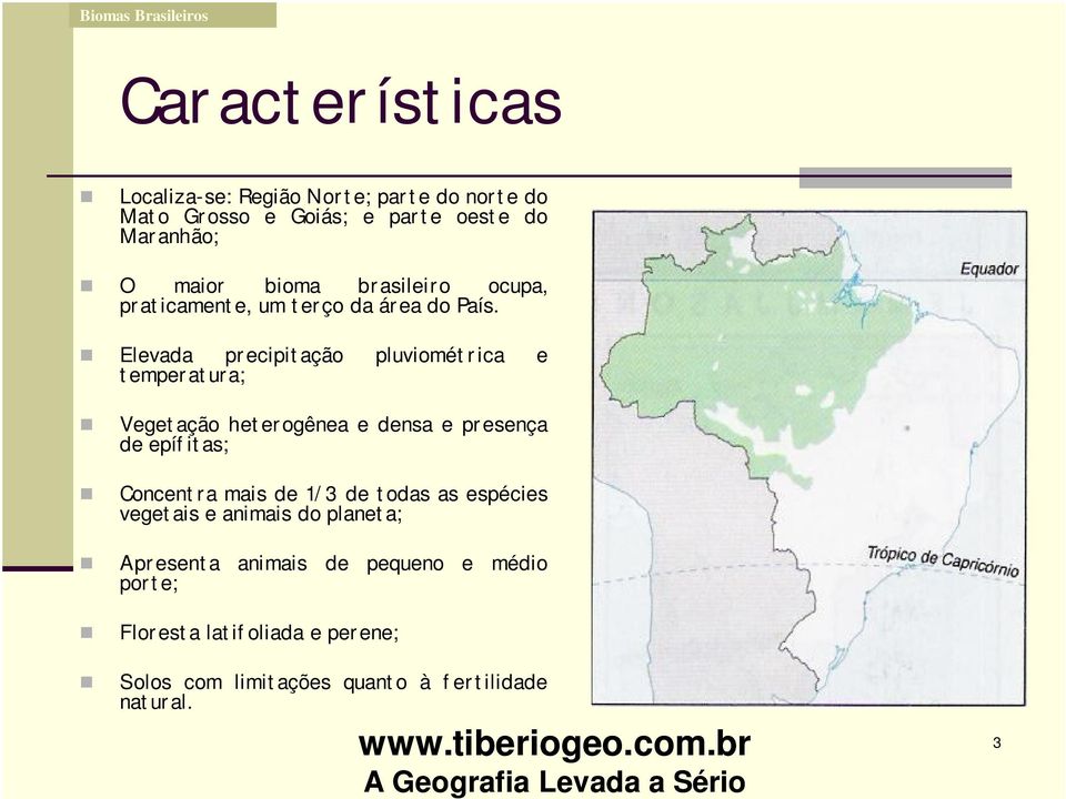 Elevada precipitação pluviométrica e temperatura; Vegetação heterogênea e densa e presença de epífitas; Concentra mais de