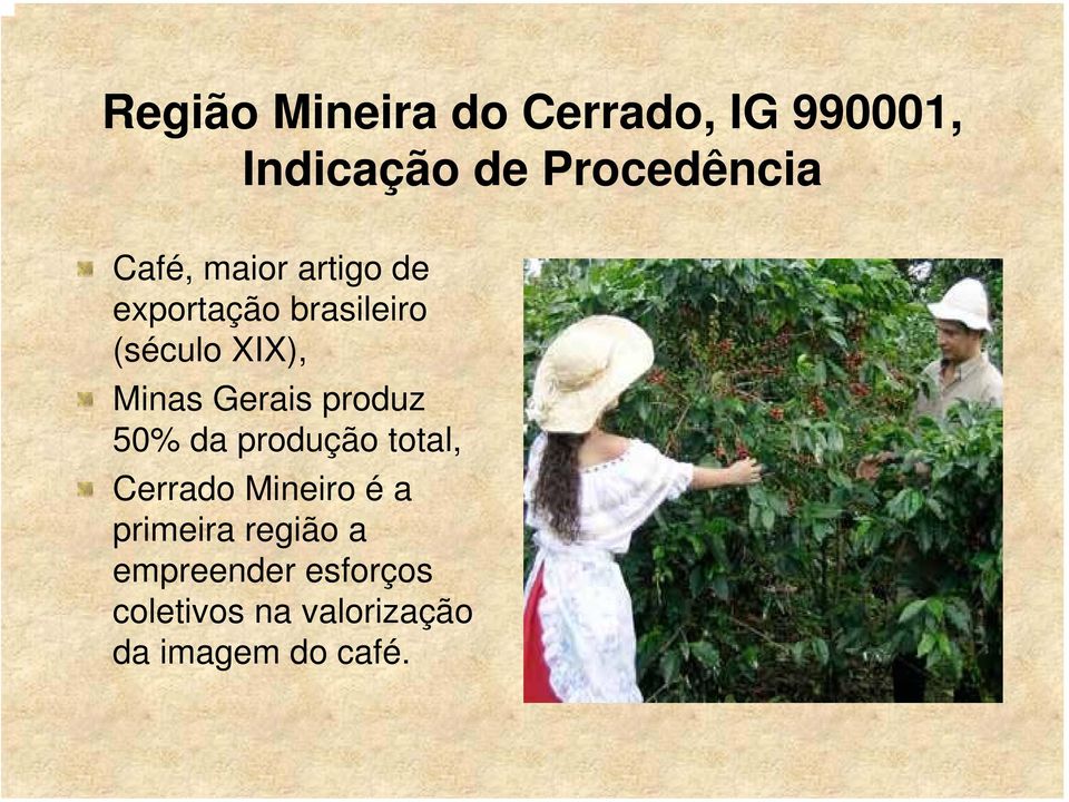 Gerais produz 50% da produção total, Cerrado Mineiro é a primeira
