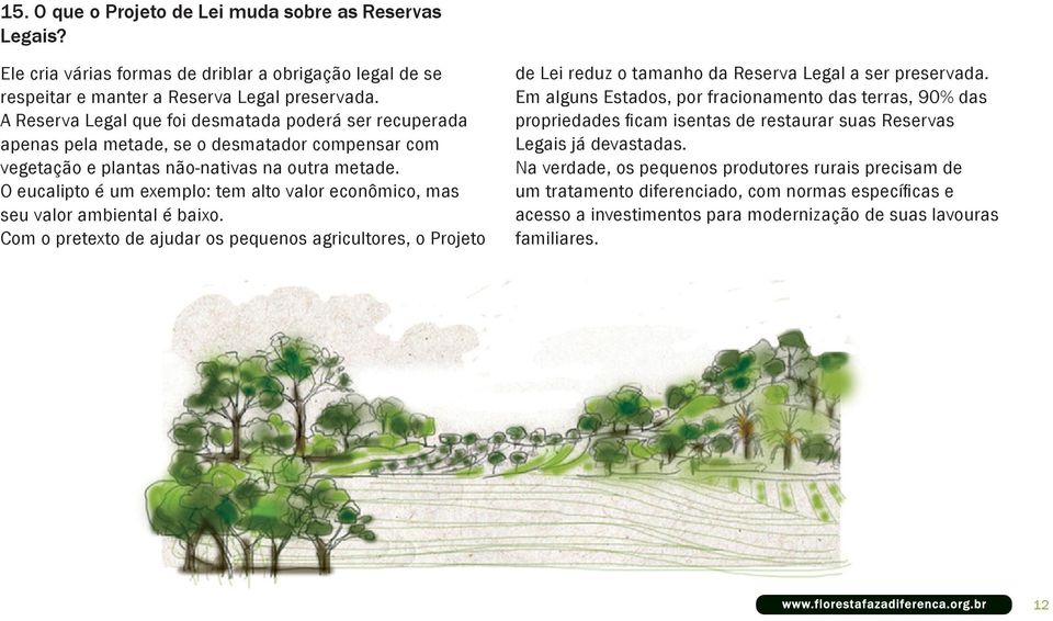 O eucalipto é um exemplo: tem alto valor econômico, mas seu valor ambiental é baixo.