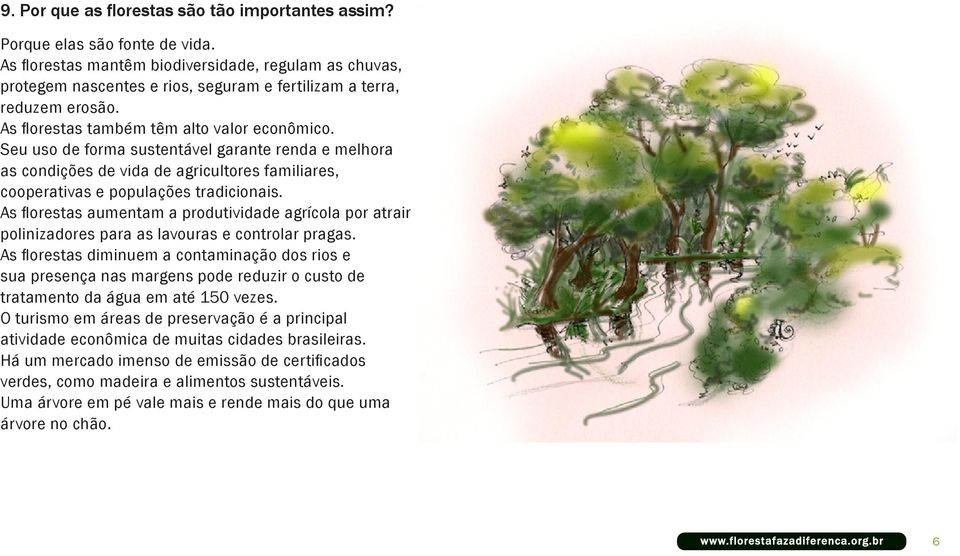 Seu uso de forma sustentável garante renda e melhora as condições de vida de agricultores familiares, cooperativas e populações tradicionais.