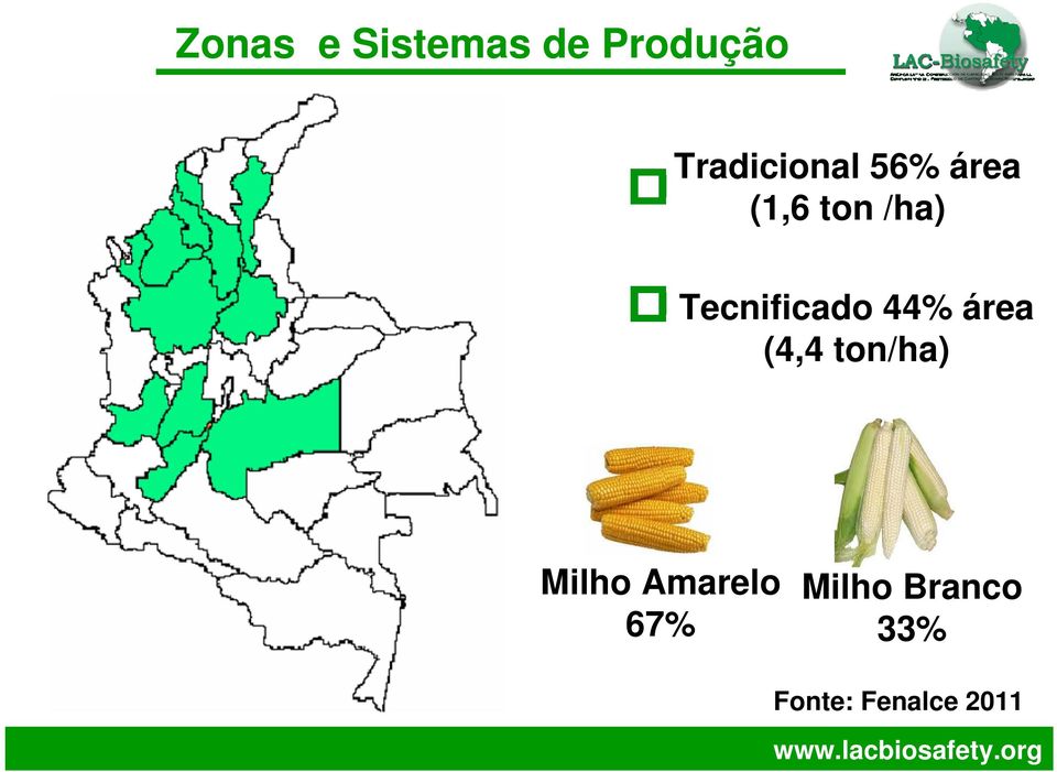 Tecnificado 44% área (4,4 ton/ha)