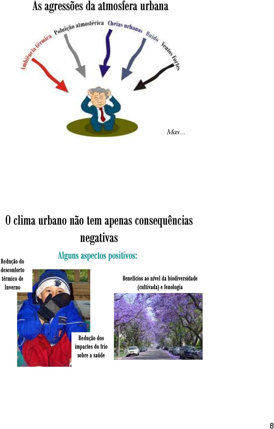 Alguns aspectos positivos: Benefícios ao nível n da biodiversidade