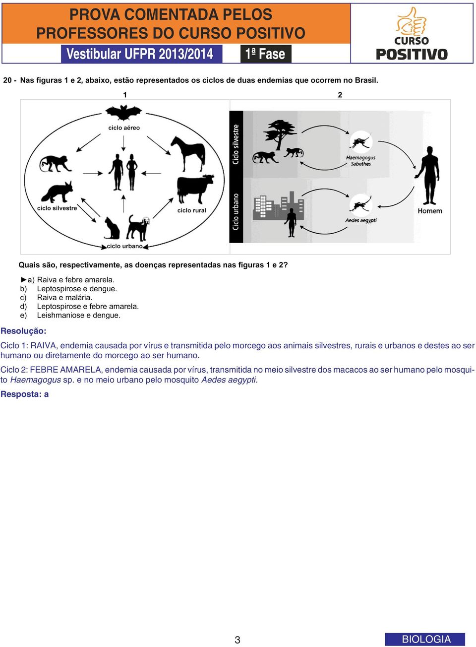 Ciclo 2: FEBRE AMARELA, endemia causada por vírus, transmitida no meio silvestre dos macacos