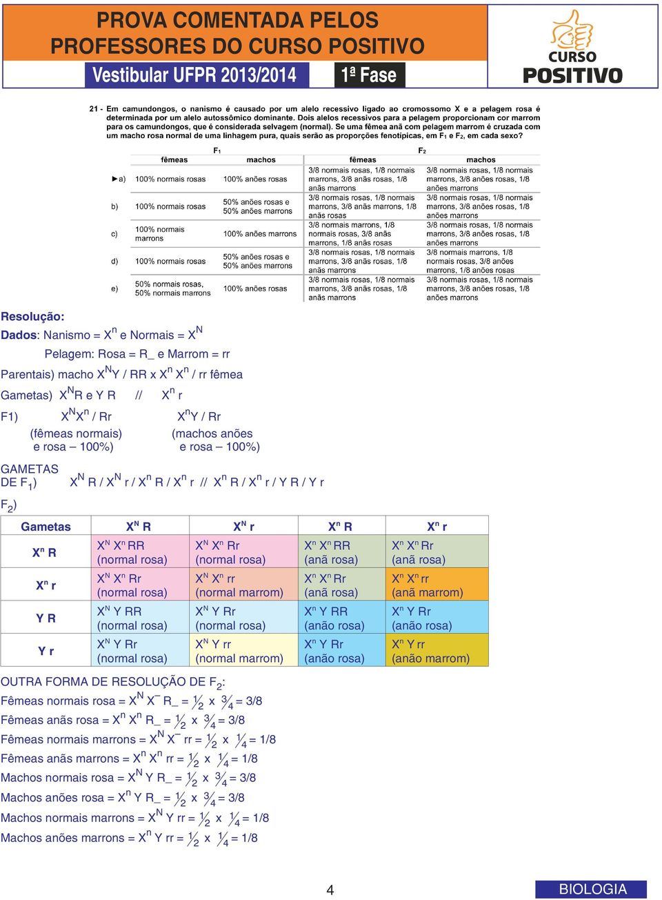 YRR X N YRr X N X n Rr X N X n rr (normal marrom) X N YRr X N Yrr (normal marrom) OUTRA FORMA DE RESOLUÇÃO DE F 2 : Fêmeas normais rosa = X N X R_ = 1 2 x 3 4 = 3/8 Fêmeas anãs rosa = X n X n R_ = 1